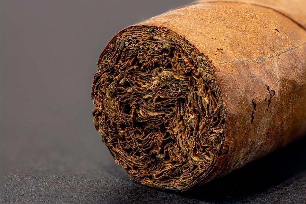 Detailed macro shot of premium cigar tobacco filler layers. Find the best hand-rolled selection at our cigar shop houston.