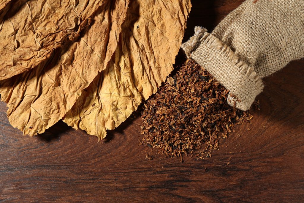 Cured tobacco leaves and loose blend spilling from sack, high-quality selection at tobacco shop Houston